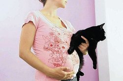 Що потрібно знати про токсоплазмоз?